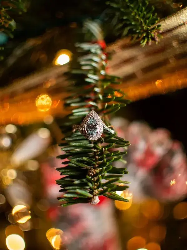 view of engagement ring hanging on pine tree branch