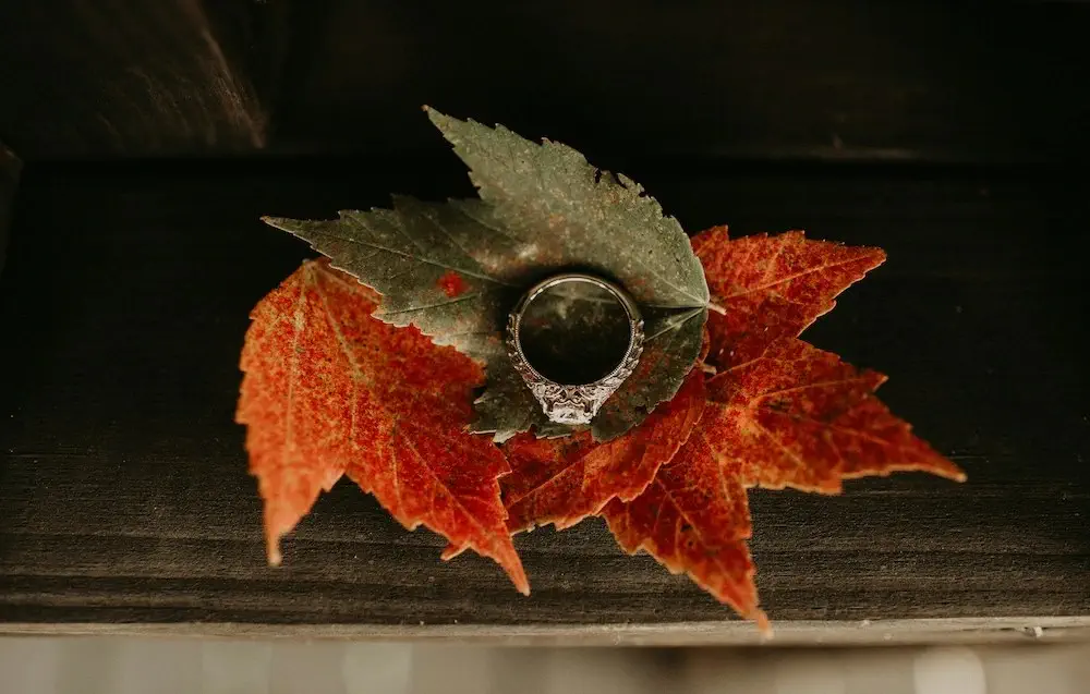 ring atop three autumn leaves